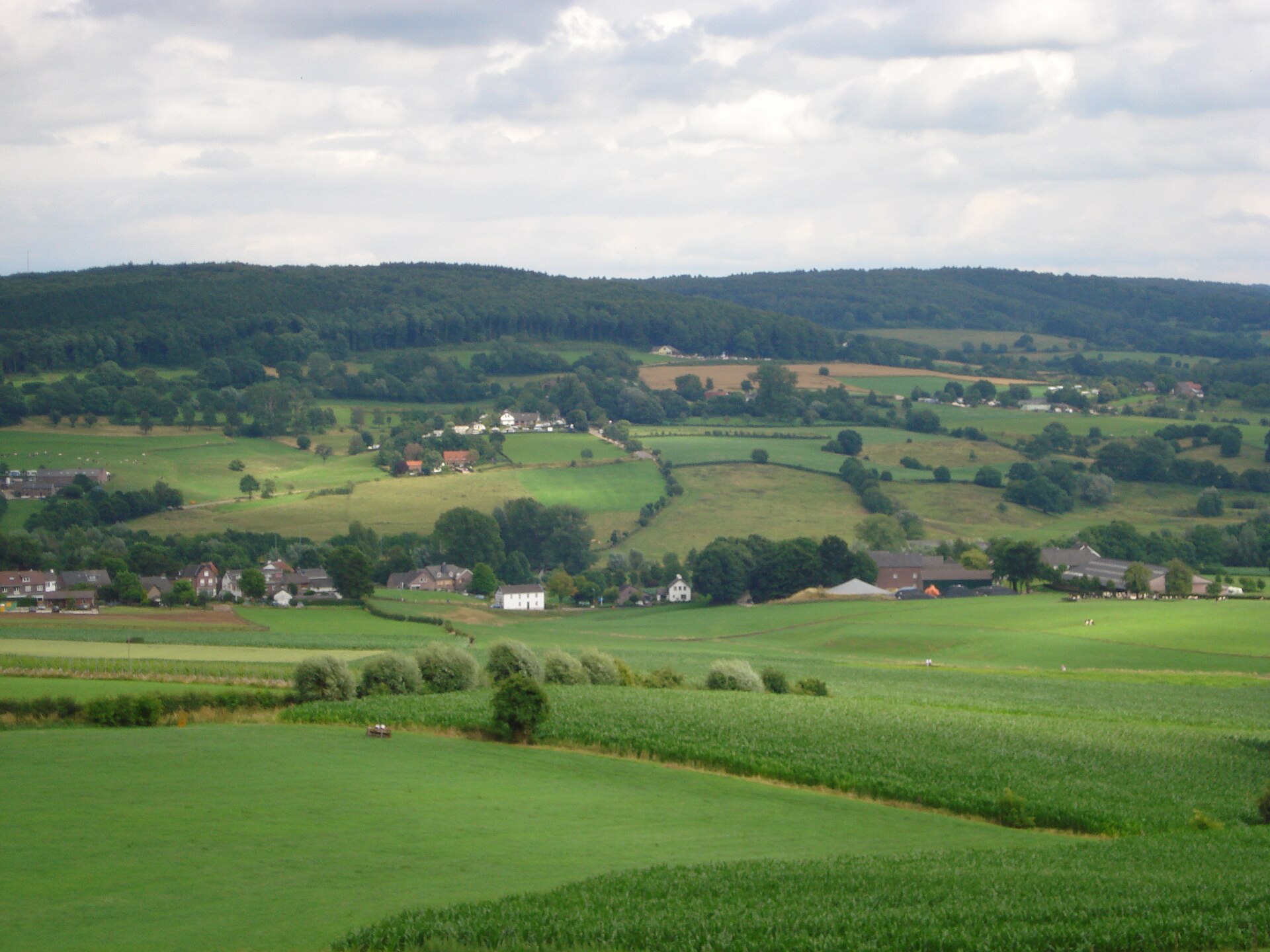 Glooiend groen heuvellandschap bij Epen in Zuid-Limburg