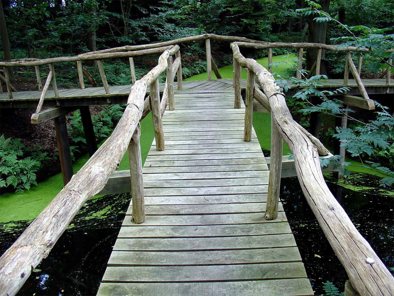 Een houten wandelbrug in het park van de Fraeylemaborg in Slochteren